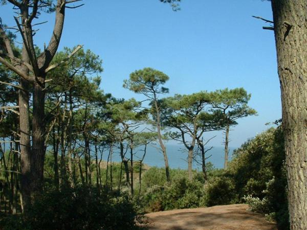 Cottages Du Valcoquet Saint-Brevin-les-Pins Bagian luar foto